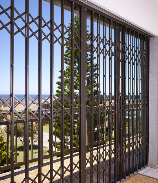 Burglar Doors
